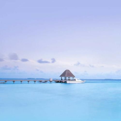 زمستون تن عریون باغچه چون بیابون