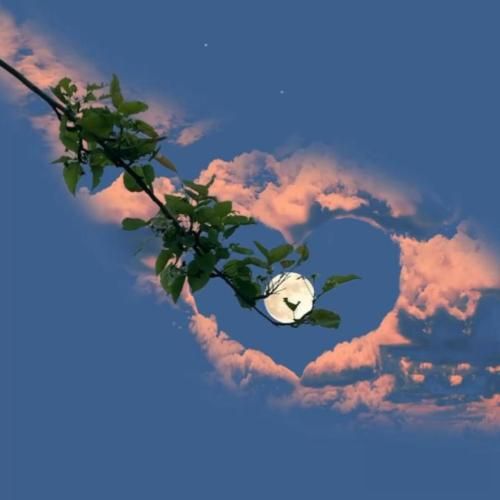 یه خانوم سانتی مانتال زیر چشمی هی نگام کرد