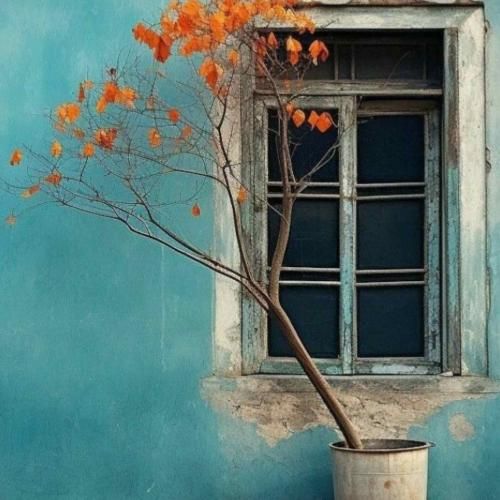 تیکه پاره تر از این گلای پرپرم