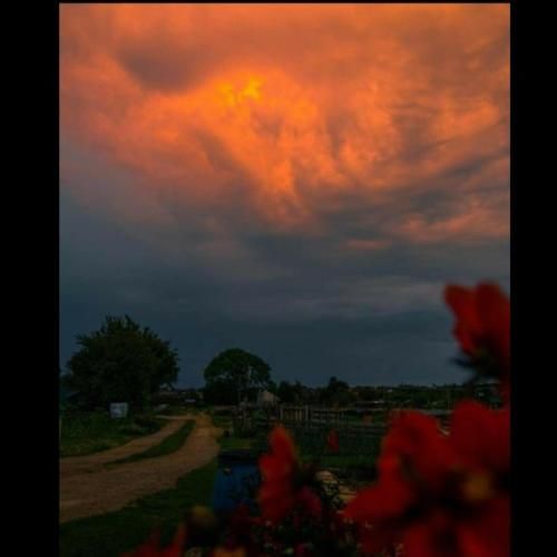 کاش میشد برگردیم قدیم کاش میشد در رفت