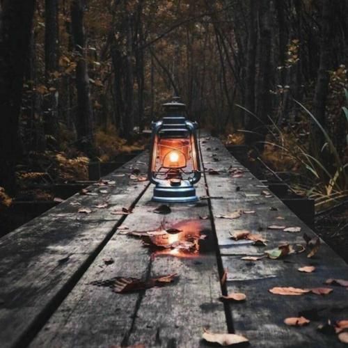 عین بهشته اما تو جات خالیه