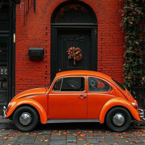 بعد من با هرکی بی من مینشینی آرزو دارم گل شادی