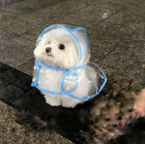 اگه خورشید بودی توی آسمون میدیدمت – هوش مصنوعی