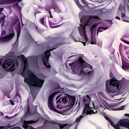 دختر احمد آباد تو عروس بندری گل ناز