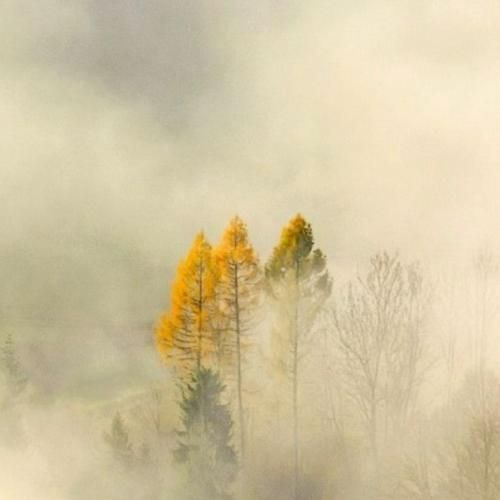 گفتم تو شیرین منی دوستی – هوش مصنوعی