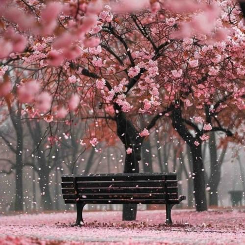 صدات صدا بود وقتیکه می خوندی کار روزگار بود