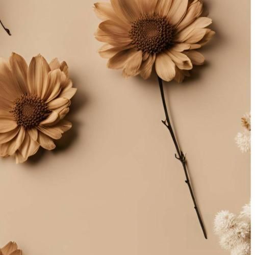 من توی دنیای خدا یکی رو خیلی دوست دارم