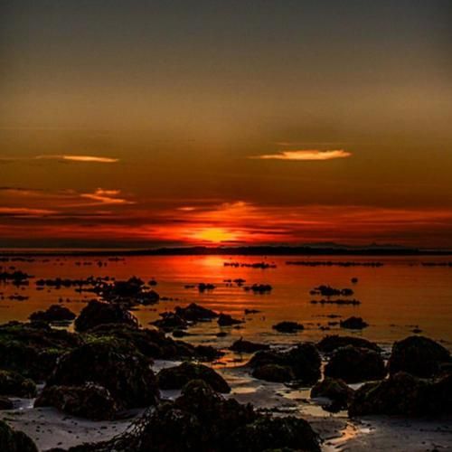 مو سوختم مو برشتم دیدم اکسپلور فرندم