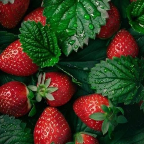 عربی دلم حرف بزنم یا نزنم اگر نزنم چه کار کنم