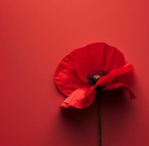 دردو از هر طرف بخونی درده