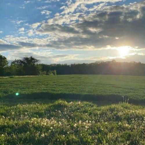 تا کی در تنهایی چون مرغ شیدایی