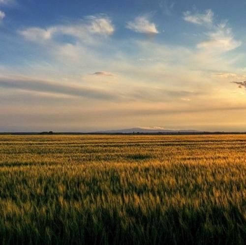 مرا به معنا برسان پیشتر از سخن بیا