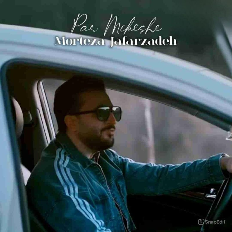 دانلود آهنگ پر میکشه از مرتضی جعفرزاده
