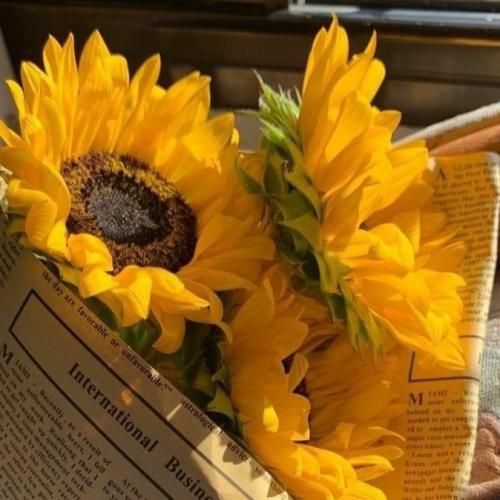 تو با خوشحالی و امید منو تنهایی و حسرت