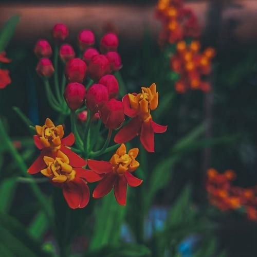 عشقم با اجازه تو دل تو میخوام بشم – هوش مصنوعی