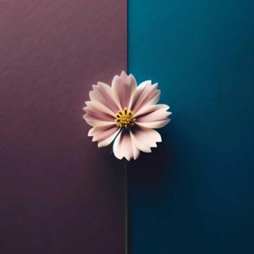 هر کاری کنم نمیره بازم فکر تو از سرم