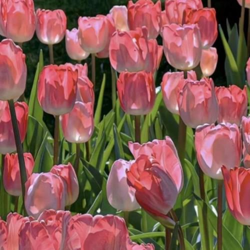 گاهی خنده گاهی گریه آخه این چه کاریه