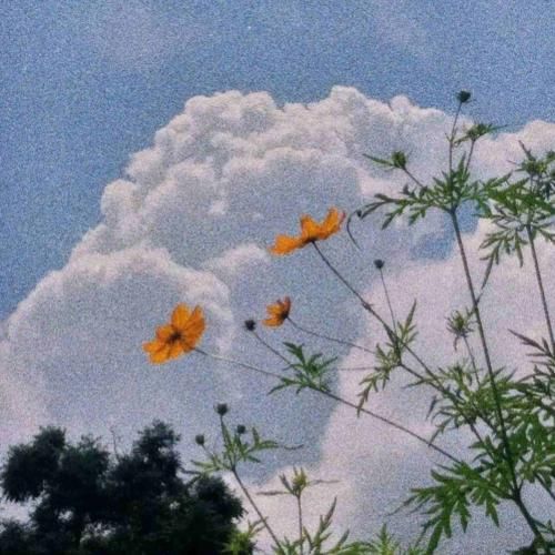 امشب که تو پیش منی تو خواب رویاییم من – هوش مصنوعی