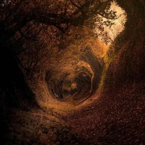 هانیه گول هانیه کهلهرمی سلیمانیه