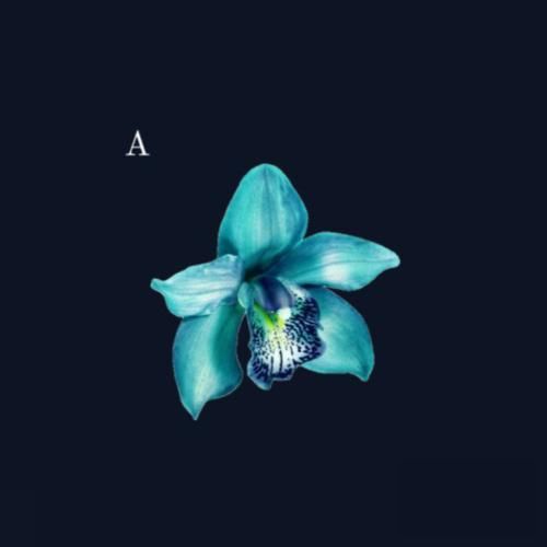 برای تو بمیرم خوش قلب مهربونم دنیای من