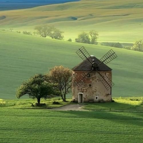 هنوز یار تو هستم حالیتم نیست