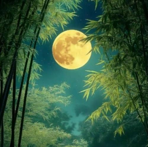 نمیتونم بزارمت کنار با صدای پسر