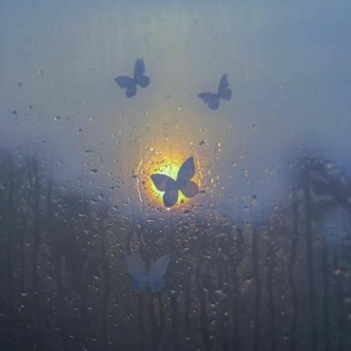 نفسم تویی تو میدونی هوا رو نمیخام من تورو میخام