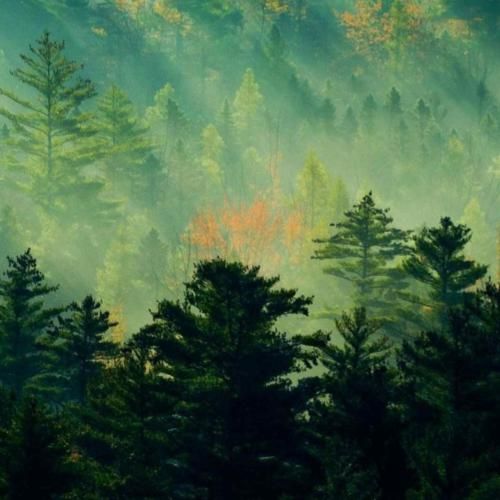 اگه دوستت ندارم حقته حقته هر چی به روزت بیارم حقته