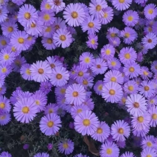 من دوستت دارم عاشقتم اینجوری آزارم نده