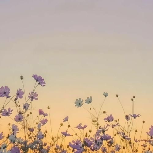 چرا مادر شوهر میجنگه میگه چقدر ژل زده پلنگه