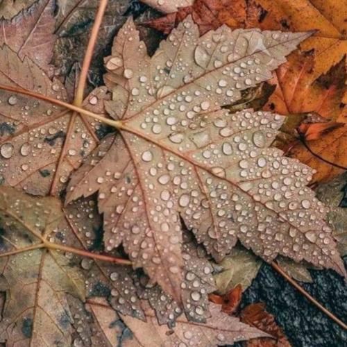 یادته اون عشق رسوا یادته اون همه دیوونگی ها