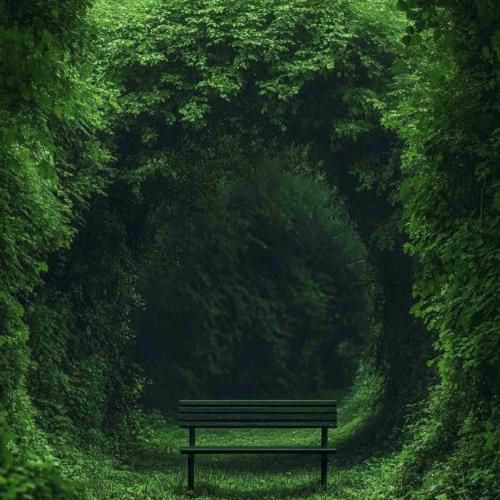 همین که دارمت برام عزیز چه خوب با نگاهت دلم میریزه