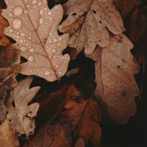 الو الو الو سالام سالام ده گوروم نجه منیم بالام