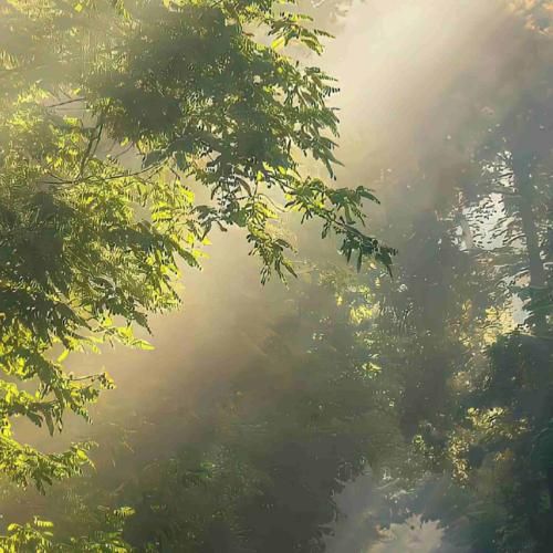 یا خدا وای لوتی کویرم کرم رو پنیرم امیرم کبیرم