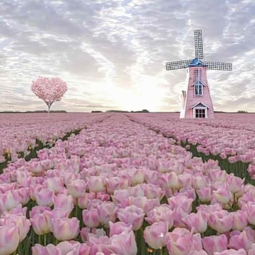 خوب من ای طبیب مهربون دل بیمار من