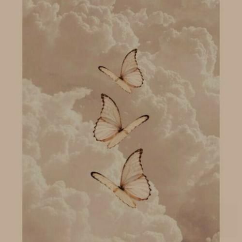 قلب تو پروانه اس زد پر کی میزنه حرفاتو باور تهش