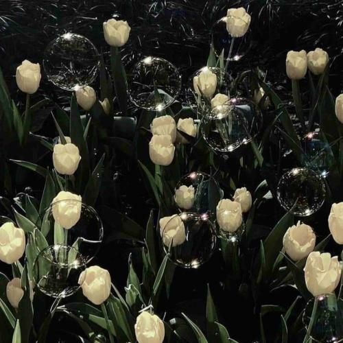 عشق تو کرده پیرم بدون تو من میمیرم