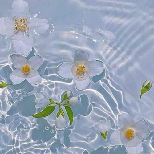 دل منو تو بردی با مدل موی بلوندی