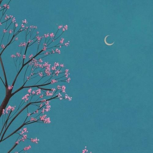 دیگه یادم نی کی از زندگی خسته نبودم