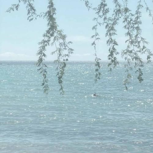 علم غیب داری تو فال بینی تو