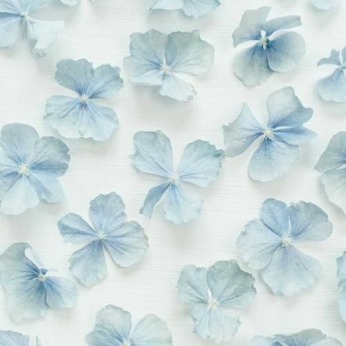 با تو نفس کشیدن و دوست دارم با صدای دختر اینستایی