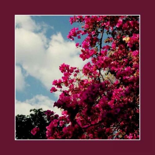 اگه فکر کنی نچسبم نه چند سالیه ترجیح میدم