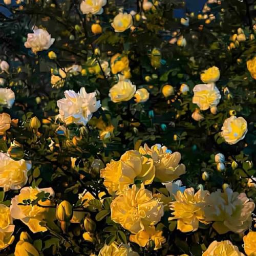 بس که خوشگلی تو چشی وقتشه با هم جور بشیم اجازه نمیدم