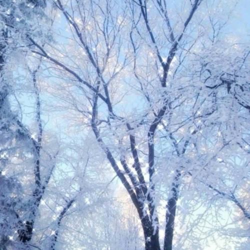 فقط ز لطف بیکرانت به من عطا کن آرامش خاطر