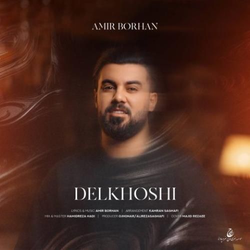 امیر برهان دلخوشی