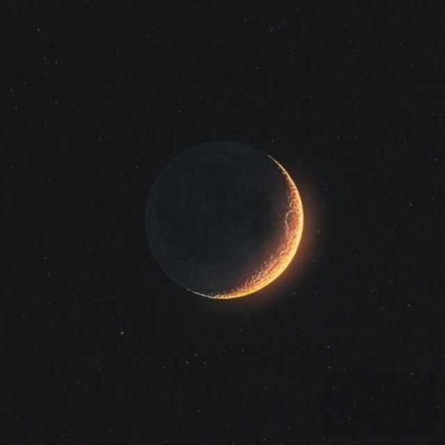 احمق من عقده ایم کثافت من عاشق تو بودم