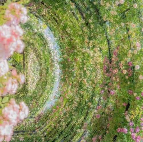 این دافم چپ شده هی به من میگه هندلم کن