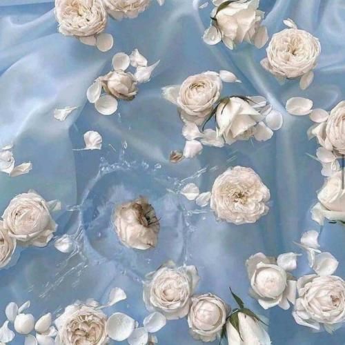  یه جور میذارم سنگ تموم انگار برا منه نه دیگرون