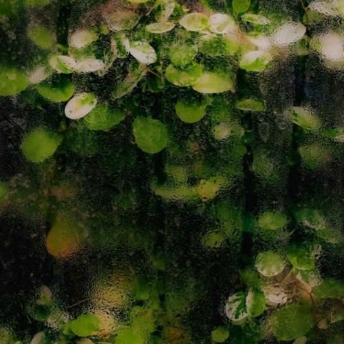 وقتی تو گریه میکنی ثانیه شعله ور میشه – هوش مصنوعی