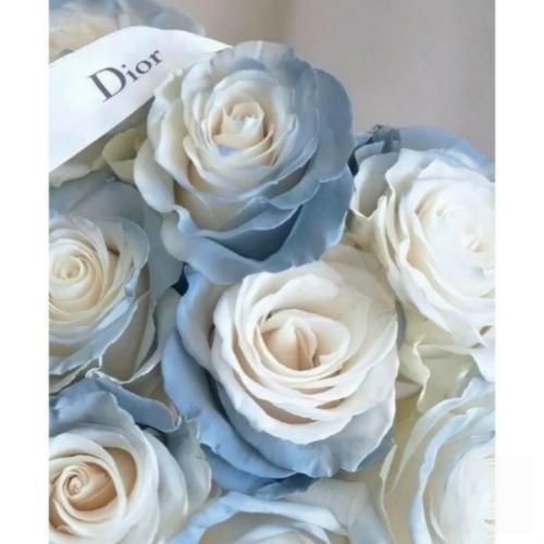 از رنج گذشت کار من و اشک چه فایده از یار گذشتم